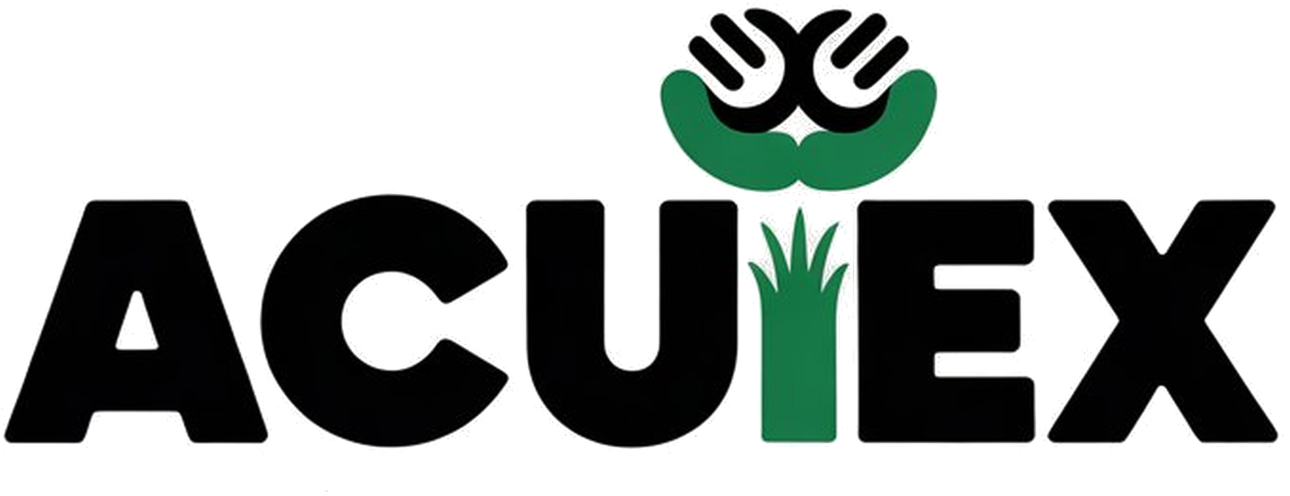 Logo ACUIEX